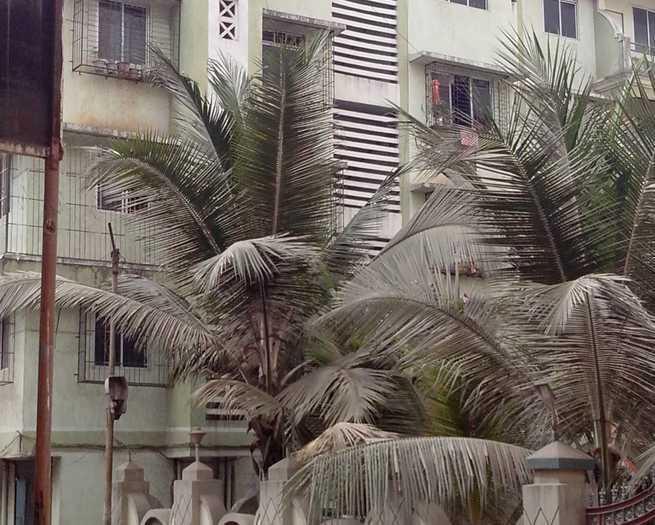 Raju Apartment - Banner Image