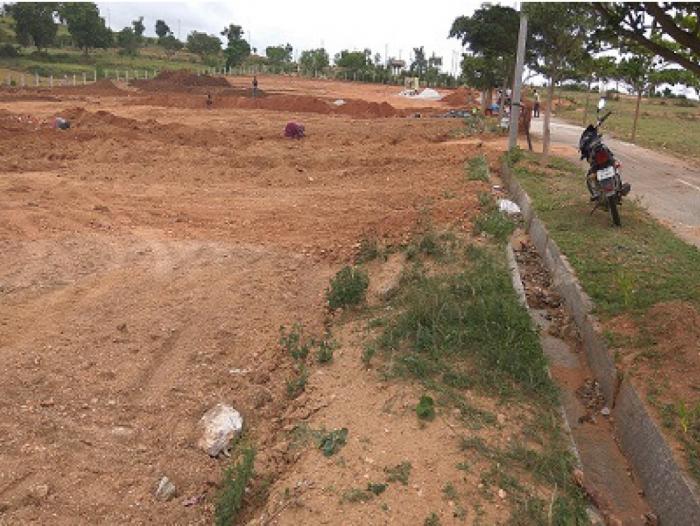 Anu Layout - Banner Image