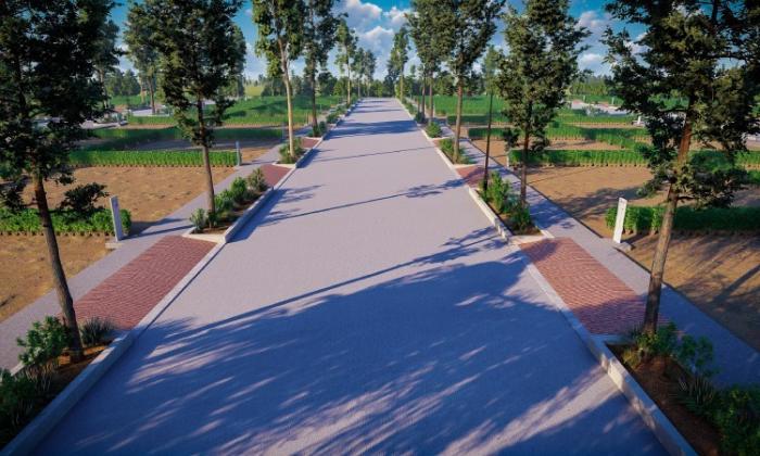 BVL Premio Phase II - Project Photo