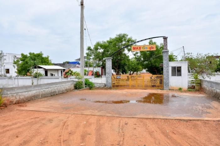 Max Google - Project Photo