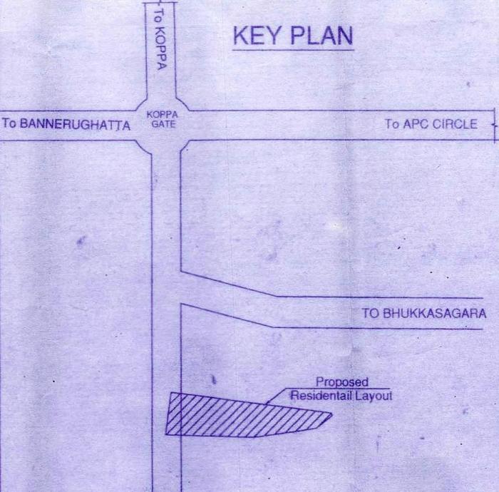 High Point - Locality