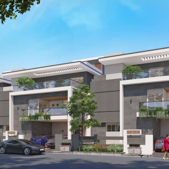 Lasting Live Ishika - Project Photo