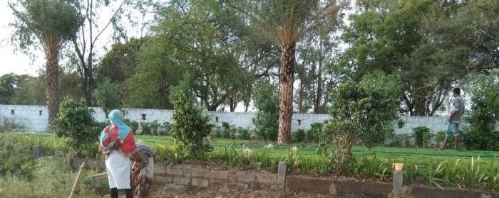 Narayani Plot - Project Photo