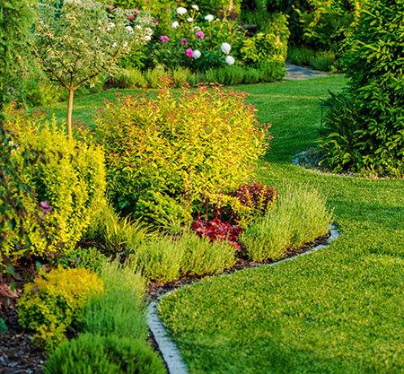 Future Sky - Landscape