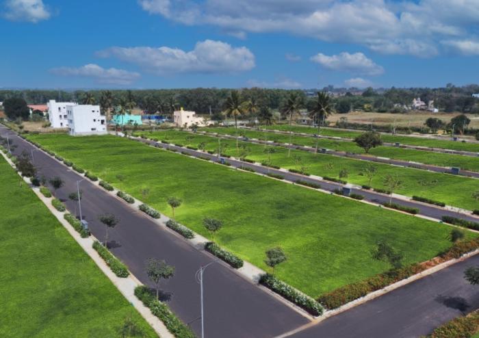 RBD Meadows - Project Photo