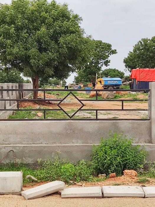 Sunshine Flora - Project Photo