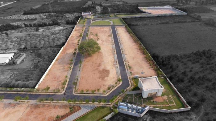 Aurelio - Project Photo