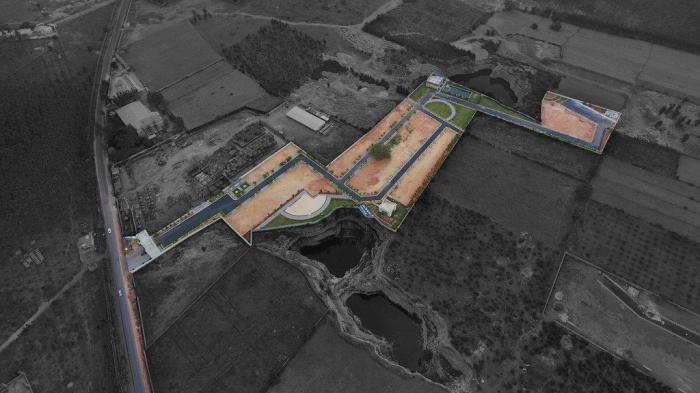 Aurelio - Project Photo