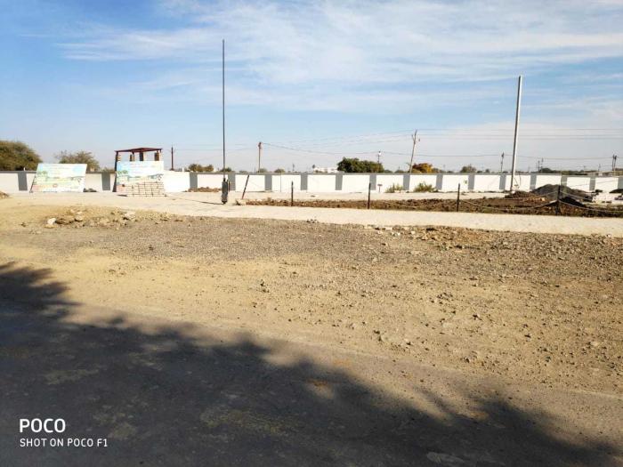 RR Saffron Leaf - Project Photo