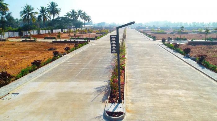 Classic Amara - Project Photo