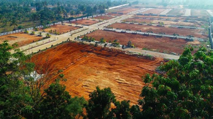 Classic Amara - Project Photo