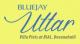 Bluejay Uttar