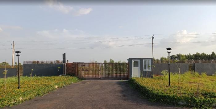 Landmark Sparrow - Project Photo