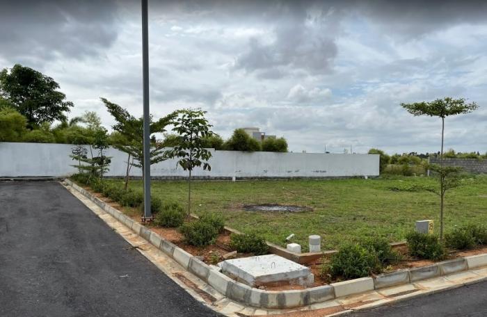 Landmark Sparrow - Project Photo