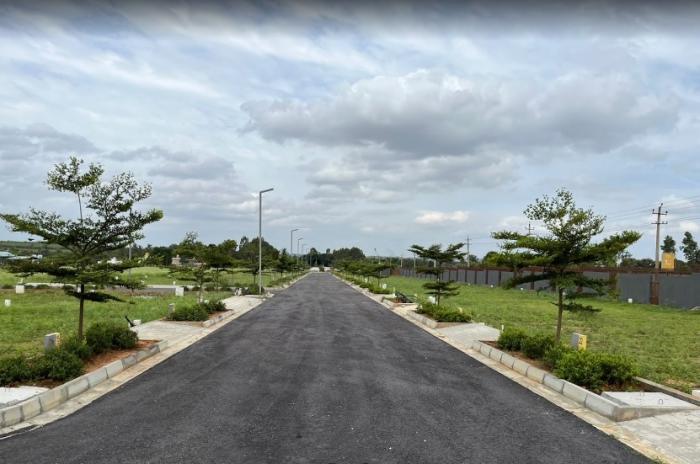 Landmark Sparrow - Project Photo