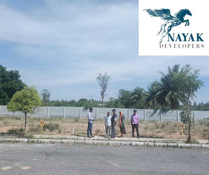 Golden Fields - Project Photo