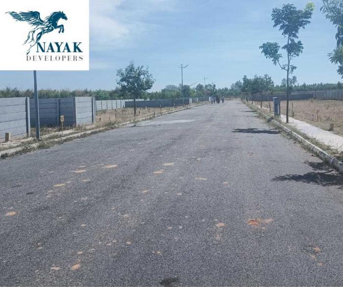 Golden Fields - Project Photo