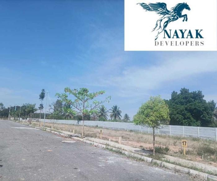 Golden Fields - Project Photo