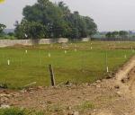 964 Sqft Plot for Sale in Urapakkam, Chennai