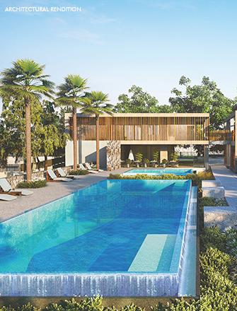 46 Banyan Tree - Out Door Swimming Pool