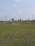 900 Sqft Plot for Sale in Naduveerapattu, Chennai