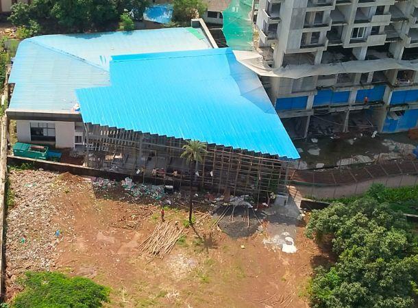 Mahavir Spring Daffodils - Under Construction