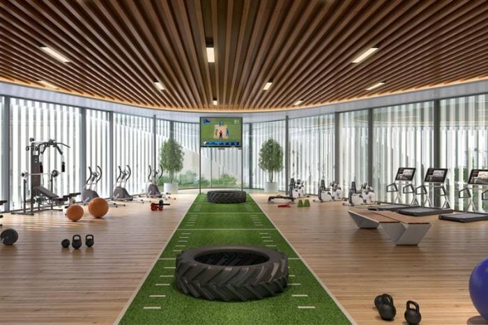 Mahavir Spring Daffodils - Gym