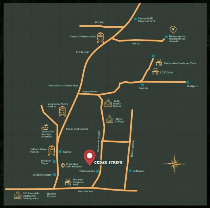 Cedar String - Locality