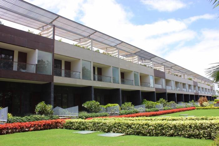 Cedar String - Project Photo