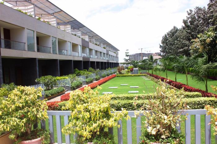 Cedar String - Project Photo