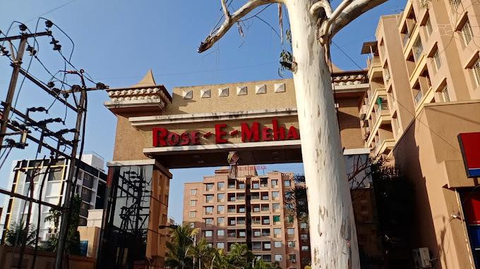 GK Rose E Mehar - Project Photo