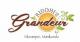 Riddhi Grandeur