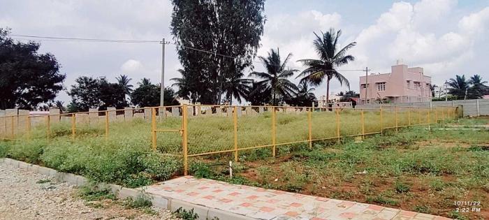 Technocon North Maple - Project Photo