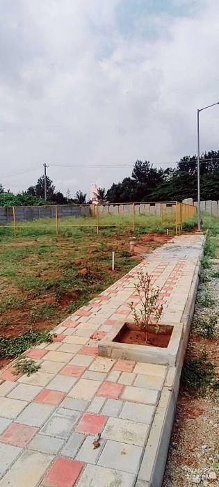 Technocon North Maple - Project Photo