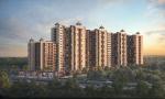1 BHK Apartment for sale in Punawale, Pune.