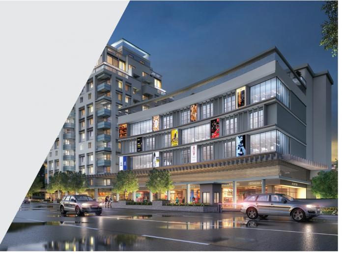 Vikas V Axis - Project Photo