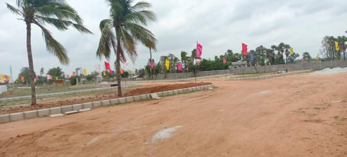 Eastern Meadows - Project Photo