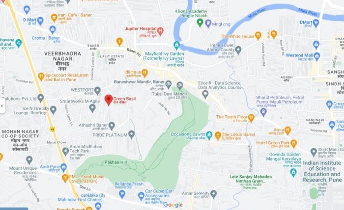 Green Basil - Locality