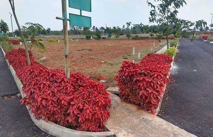 Guru Punvaanii EKA Phase 2 - Project Photo