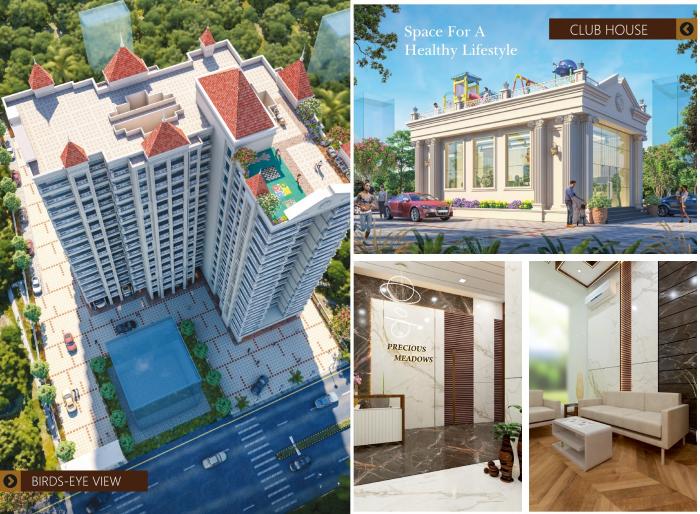 Precious Meadows - Project Photo