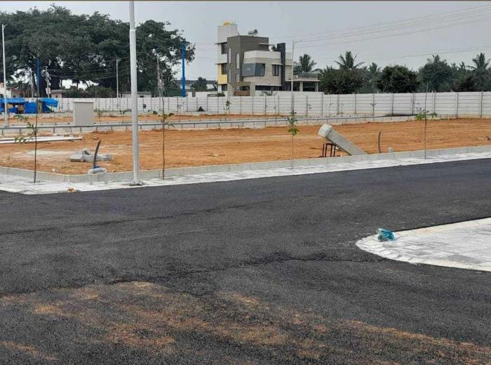 Ambika Daffodils - Project Photo