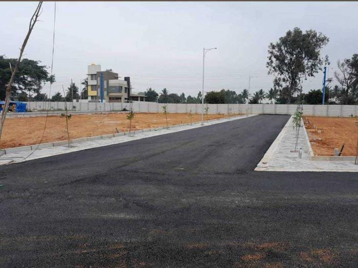 Ambika Daffodils - Project Photo