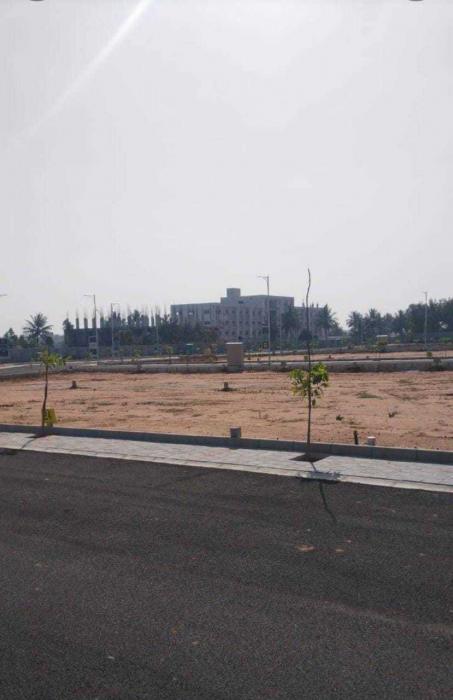 Ambika Daffodils - Project Photo