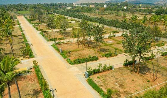 BLV Coco Aldea Rivatani - Project Photo