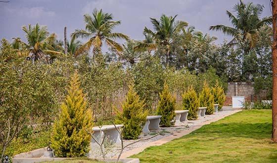 BLV Coco Aldea Rivatani - Project Photo