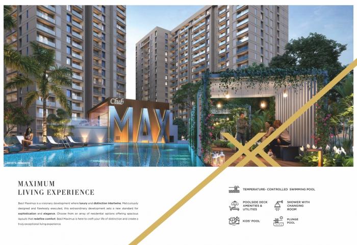 Basil Maximus - Project Photo