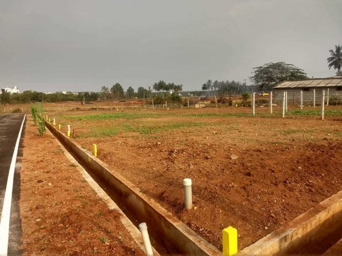 81 Ventures - Project Photo