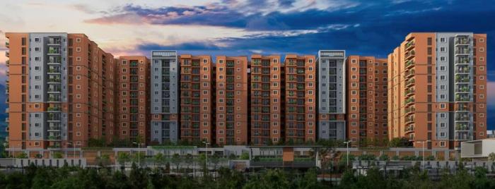 CoEvolve Florenza - Project Photo