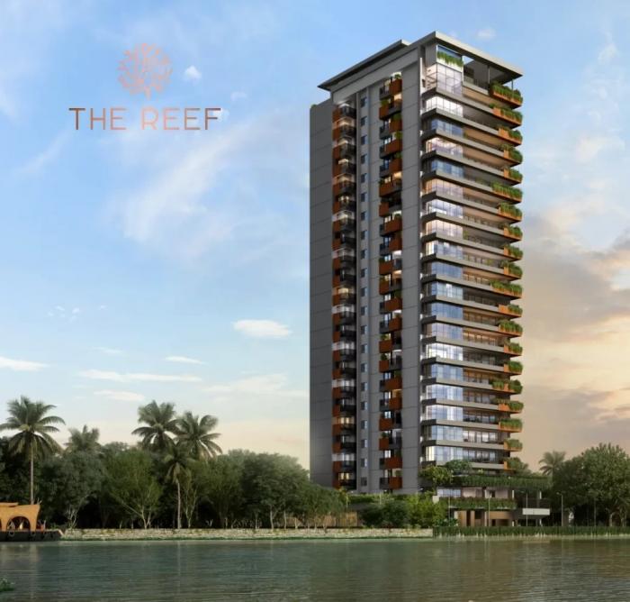 The Reef - Project Photo