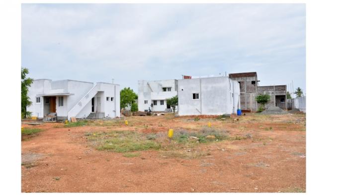 Max Google - Project Photo